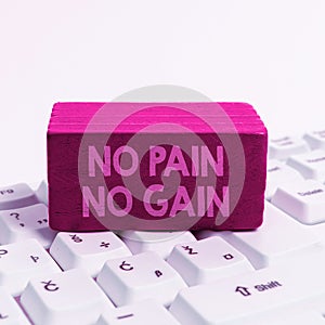 Text sign showing No Pain No Gain. Internet Concept All success requires sacrifices Motivational inspiring