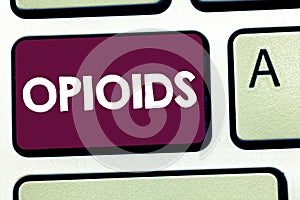 Text sign showing Opioids. Conceptual photo Class of drugs that include the illegal heroin Opium poppy plant