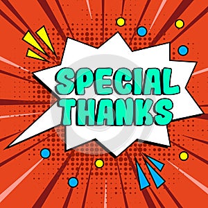 Text sign showing Special Thanks. Business concept expression of appreciation or gratitude or an acknowledgment