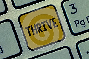 Text sign showing Thrive. Conceptual photo Think positively Continue to prosper and flourish Time to Blossom