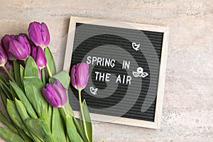 Text  Spring in the air on  letter board and bouquet of  purple Tulips flowers. Concept Springtime mood and happiness
