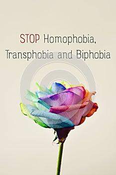 Text stop homophobia, transphobia and biphobia photo