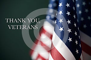 Text thank you veterans and american flags