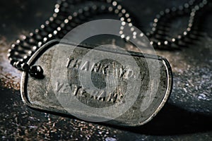 Text thank you veterans in a dog tag