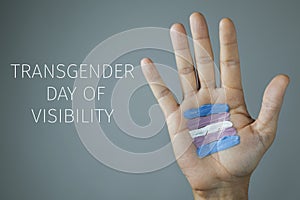 Text transgender day of visibility photo