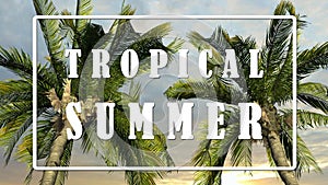 Text - Tropical Summer - Palm trees against sky background