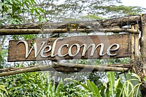 Text welcome on a wooden board in a rainforest jungle of tropical Bali island, Indonesia. Welcome wooden sign inscription in the