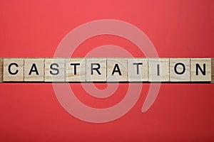Text the word castration from gray wooden small letters