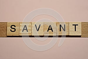 Text the word savant from gray wooden small letters