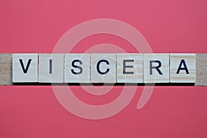 Text the word viscera from gray wooden small letters photo