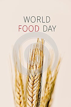 Text world food day and wheat spikes