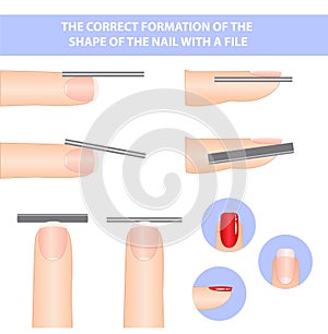 Textbook on the formation of nails. the shape of a square nail