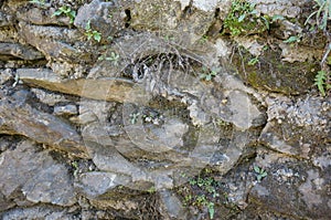 Textuerd of layers of stone wall
