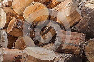 Textura, background - naturale wood photo