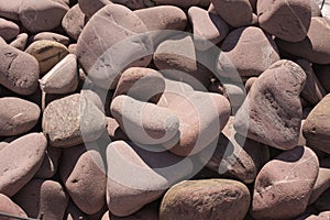 Textura - Background of stones. Color stone. Cobble stone. Riverine gravel - round stone