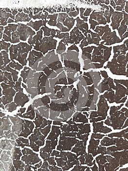 Textura of cracked paint photo