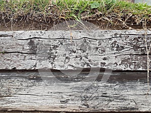 Fondo madera textura tablas / Wood background texture boards photo