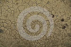 Textura de tierra agrietada despuÃÂ©s del efecto de paso del agua, en tonos marrones. photo