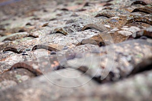 Textural background. Closeup aged old antique vintage shingles, tiles on roof of medieval European house covered with moss, patina