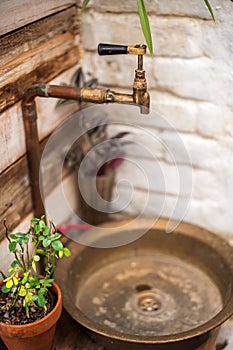 Textural old vintage washbasin in rustic style. Potted flowers in a greenhouse closeup and copy space