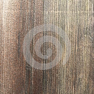 Textural surface of a wooden door. Abstract minimalistic background.