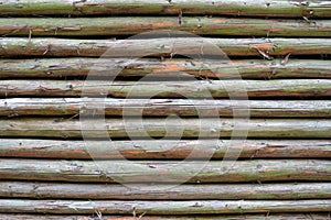 Texture 1766 - wooden logs