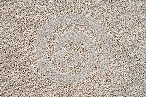 Texture. Abstract background. Fleecy cover of the carpet.