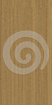 Texture  afrormosia 4K high quality