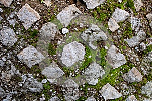 texture of ancient Roman walls, ruins with moss and grass. abstract background of reticulated walls of ancient rome