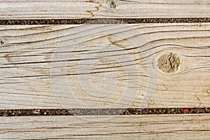 Texture of an ancient wooden wall, old dried wood with a lot of cracks and peeling fibers, closeup abstract background