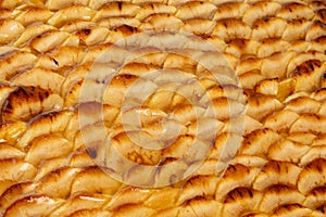 Texture of an apple cake background