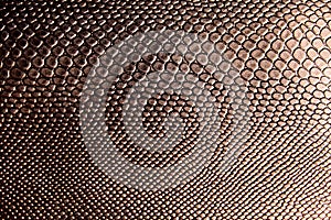 Texture of an artificial brown snake skin