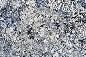 Texture of the ashes. Natural gray background of burnt wood. Burnt coals