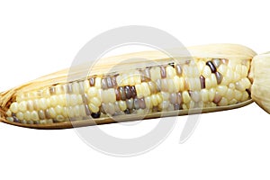 Texture asia corn