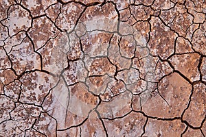 Texture asset of cracks in desert ground from above