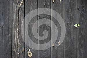 Texture background black. Dark grain panel board table with copy space. Old floor wooden pattern. Timber plank surface wall for