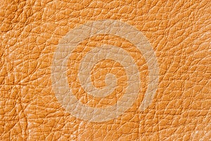 Texture of background for designer, pattern of genuine leather surface. For background , backdrop, substrate