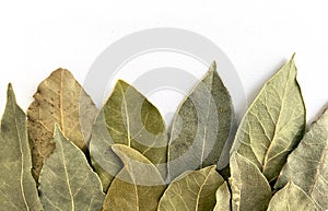 Texture, background. Dry bay leaf