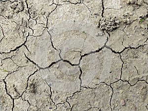 texture and background of dry and cracked mud.