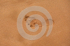 Texture background footprints of human feet on the sand on the sandy beach.