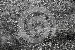 Texture, background. The fur of the Angora goat. a goat, of a lo