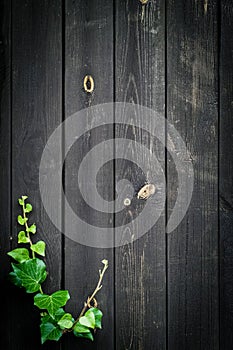 Texture background grunge. Old floor wooden pattern. Timber plank surface wall for vintage grunge wallpaper. Dark grain