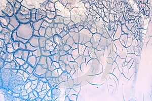 Texture, background, pattern. Cracked earth, clay. Abstract nature background with cracked earth. Dry cracked earth background, c