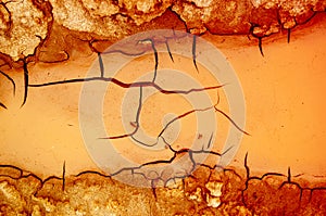 Texture, background, pattern. Cracked earth, clay. Abstract nature background with cracked earth. Dry cracked earth background, c