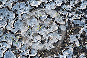 Texture, background, pattern, Earth, broken from sunlight, soil erosion, brightly degenerate pattern, abstract cracks. Wallpaper,