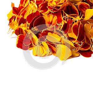 Texture background. Pattern of flower petals. Calendula are very important in Nepalese culture, where garlands for marigolds are