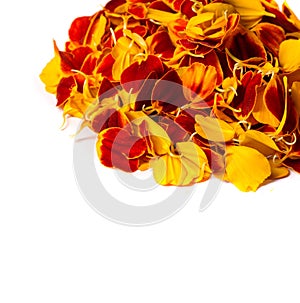 Texture background. Pattern of flower petals. Calendula are very important in Nepalese culture, where garlands for marigolds are