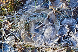 Texture background, pattern. Frost on the sprigs of grass. a deposit of small white ice crystals formed on the ground or other