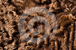 Texture, background, pattern. Sheep fur, sheepskin. a sheep's sk