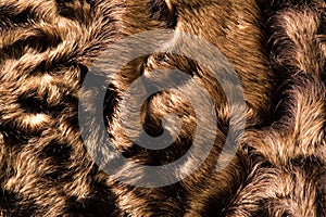 Texture, background, pattern. Sheep fur, sheepskin. a sheep's sk